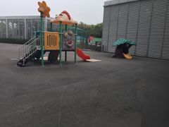-夏阳湖皇冠假日酒店-自助餐厅