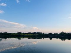 -东郊湿地公园