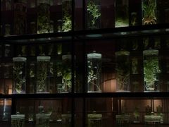 -广东中医药博物馆