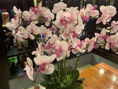 门口漂亮的兰花-龍千代·味自慢(黑龙江北路店)