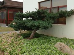 -呼吸森林·生态农庄农家乐私房菜