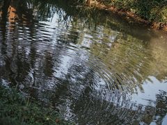 -上海方塔园-何陋轩