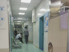 -北京观赏动物医院·24小时大型综合·猫专科·异宠专科