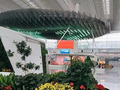 -广州白云国际机场-T2航站楼
