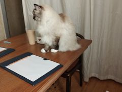 -剧狐剧本杀·月球探案馆(人民广场1号店)