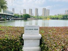 -青枫公园