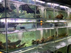 -海之鲜大排档(东山海鲜金銮湾店)