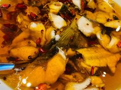 水煮鱼（草鱼）-106餐厅(山水文园店)