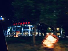 -小李子油焖大虾(天下城旗舰店)