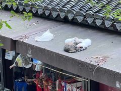 -狼山风景名胜区