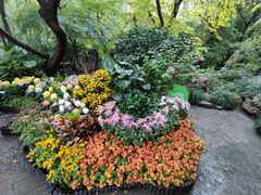 -汇龙潭
