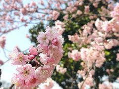-苏州上方山国家森林公园