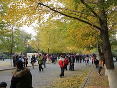 -辽宁大学(崇山校区)