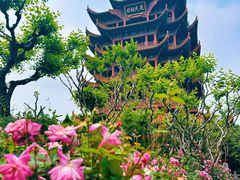 -黄鹤楼公园(黄鹤楼)