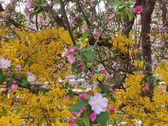 -元大都城垣遗址公园