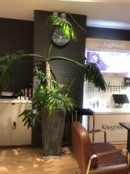 点击看大图 -意廊 Hair Salon