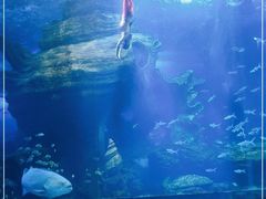 -多彩贵州城极地海洋世界