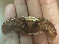 -龙达温泉生态城