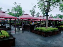 -春花秋色城市公园