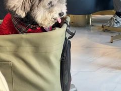 -LAVAZZA拉瓦萨咖啡(中航城君尚购物中心店)