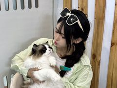-青奢宠物·青奢猫舍