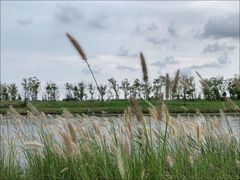 -春花秋色城市公园