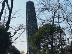 -上海佘山国家森林公园天马山园