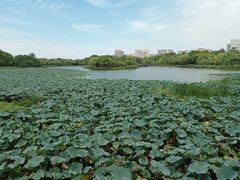 -天鹅湖大酒店