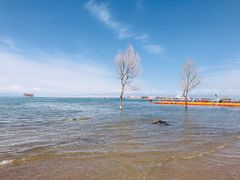 -青海湖国家重点风景名胜区