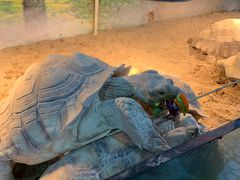 -上海大自然野生昆虫馆
