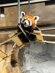 -Zoolung Zoolung动物主题公园(海信广场店)