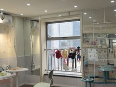 -汪说·狗咖·拼豆·宠物周边DIY(旺城大厦店)