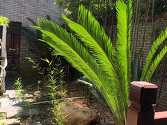 -湖南湘都生态农业园