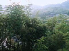 -长谷洞天