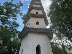 -江心屿景区