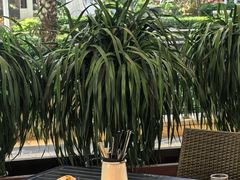 -三亚海棠湾喜来登度假酒店