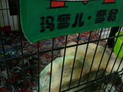 -开元商城(西旺店)