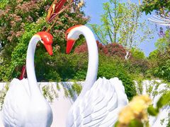 -鹅湖玫瑰文化园