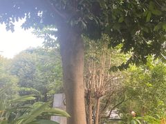 -广州神农草堂中医药博物馆