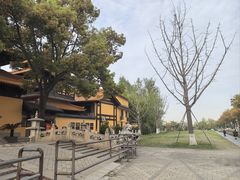 -亭林园-华藏寺