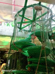 点击看大图 -恐龙探索乐园(磁器口店)