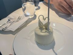 -BLACKSWAN黑天鹅(环球店)