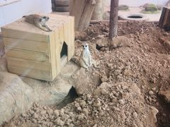 -西安秦岭野生动物园