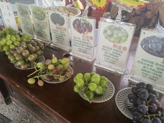 -马陆小张葡萄园农家乐