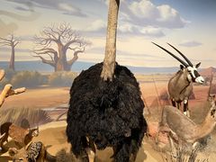 -陕西自然博物馆