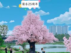 -桂溪生态公园
