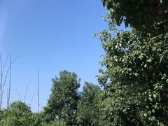 -南山植物园