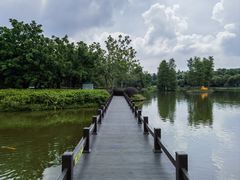 -森波拉奇妙世界