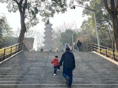 -上海佘山国家森林公园西佘山园