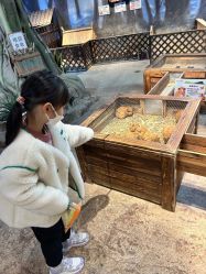 -酷嗒动物文化乐园(cutezoo西溪乐天城店)